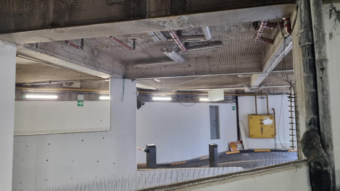 Fiksne mreže zaščita pred golobi in drugimi pticami