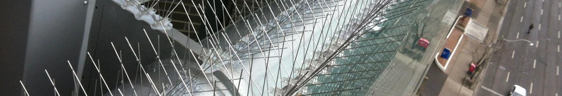 Iglice mehanska zaščita pred golobi in drugimi pticam