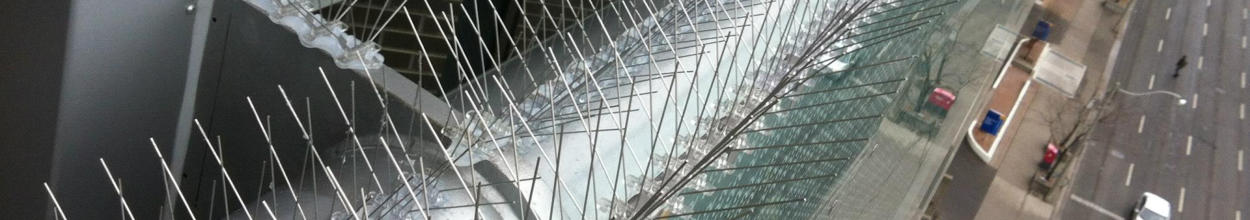 Iglice mehanska zaščita pred golobi in drugimi pticam