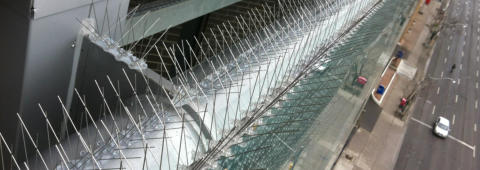 Iglice mehanska zaščita pred golobi in drugimi pticam