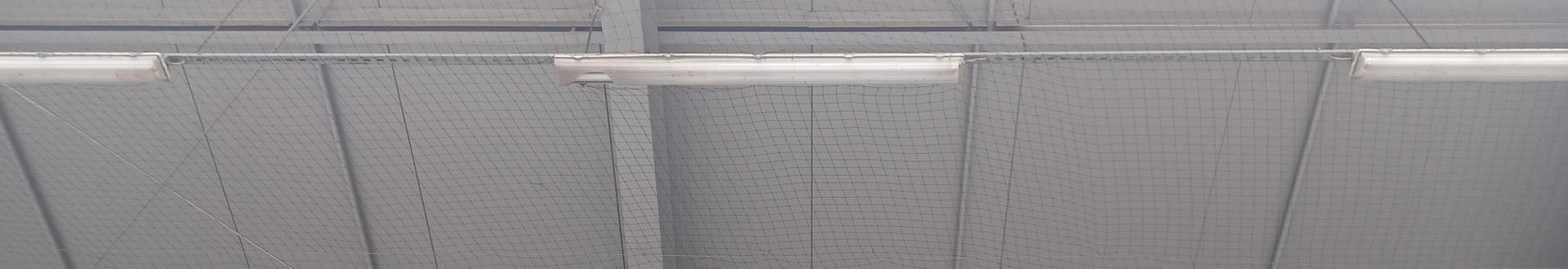 Zaščita pred golobi in drugimi pticami