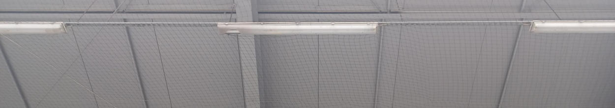 Zaščita pred golobi in drugimi pticami