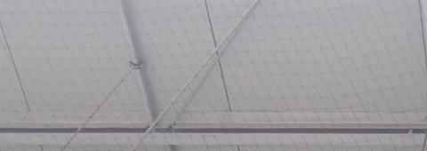 Zaščita pred golobi in drugimi pticami