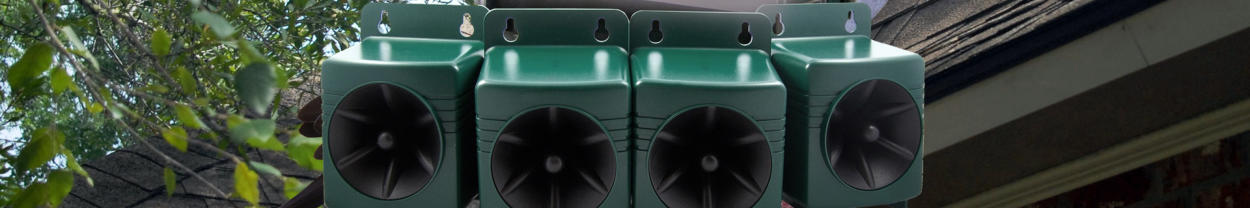 Zvočne zaščite pred golobi in drugimi pticami