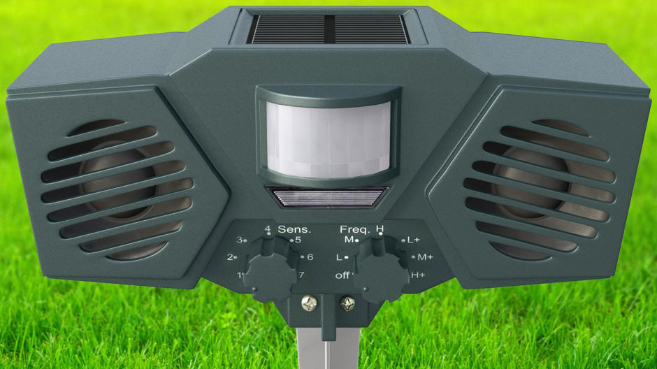 Zvočne zaščite pred golobi in drugimi pticami